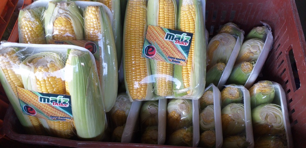 Mazorca dulce