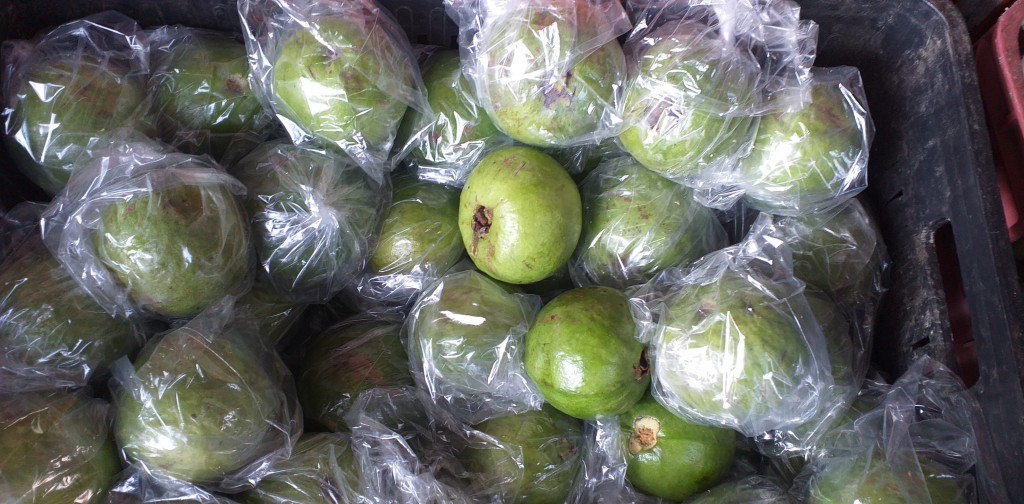 Guayaba manzana