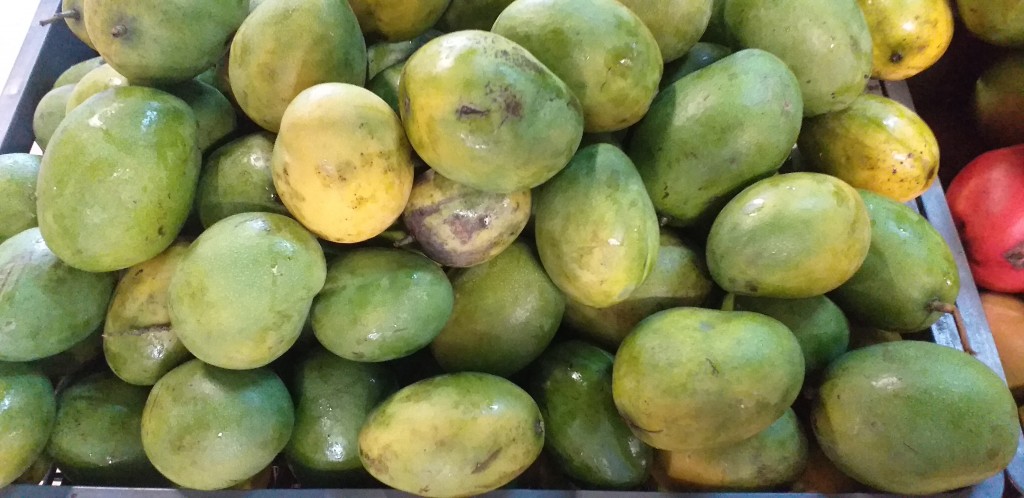 Mango criollo