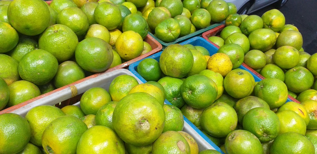Naranja washington
