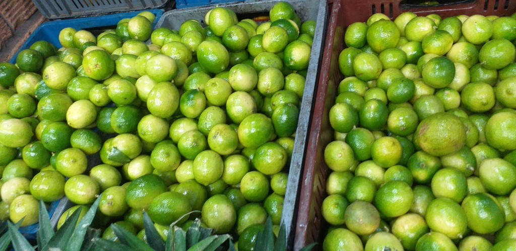Limon tahiti