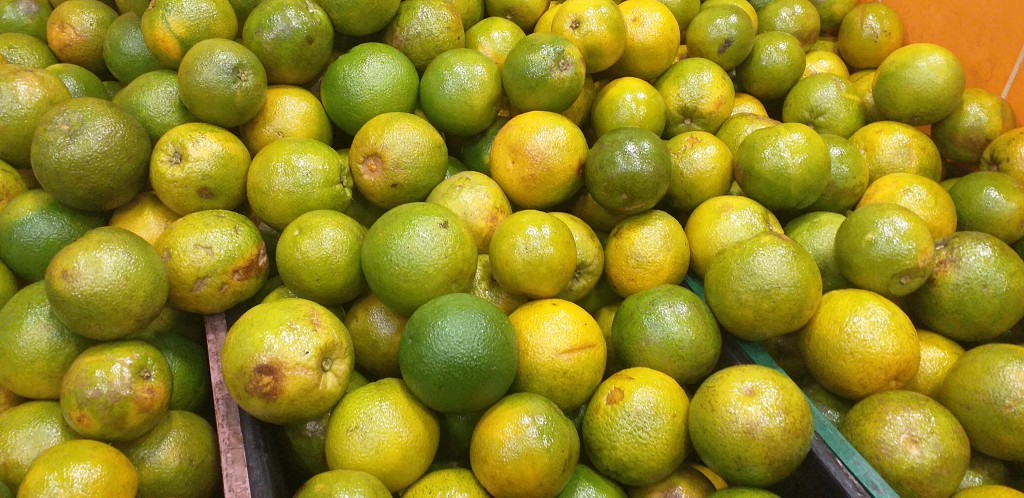 Naranja valencia