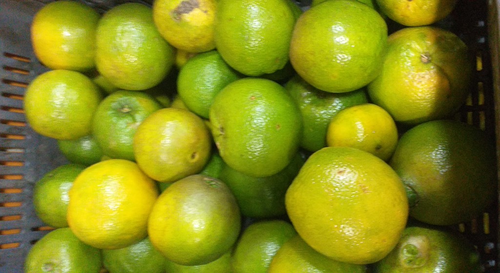 Naranja valencia de 2da