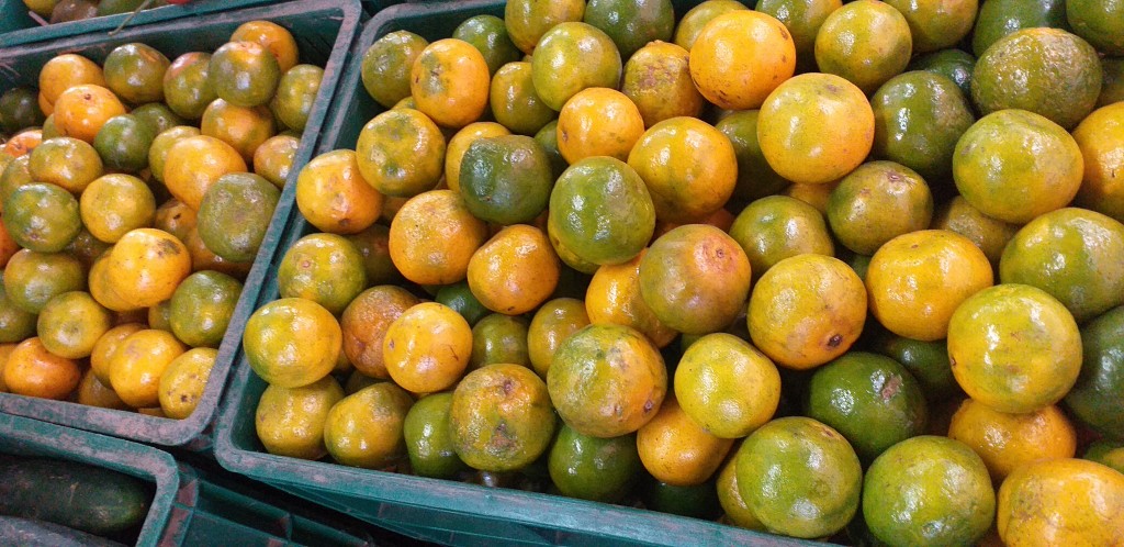 Mandarina oneco 2da