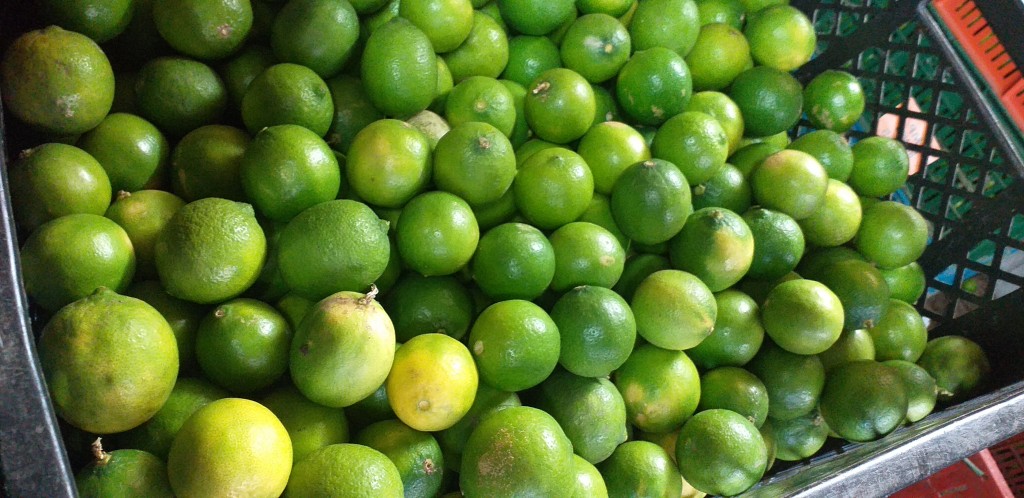 Limon tahiti