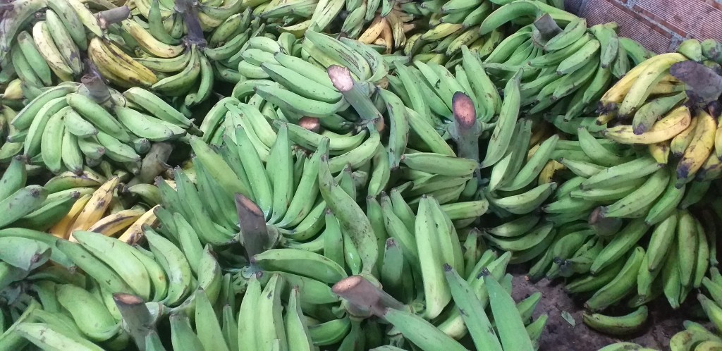 Platano verde