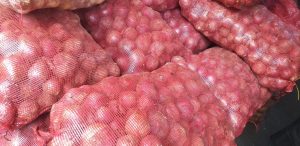 Cebolla roja peruana