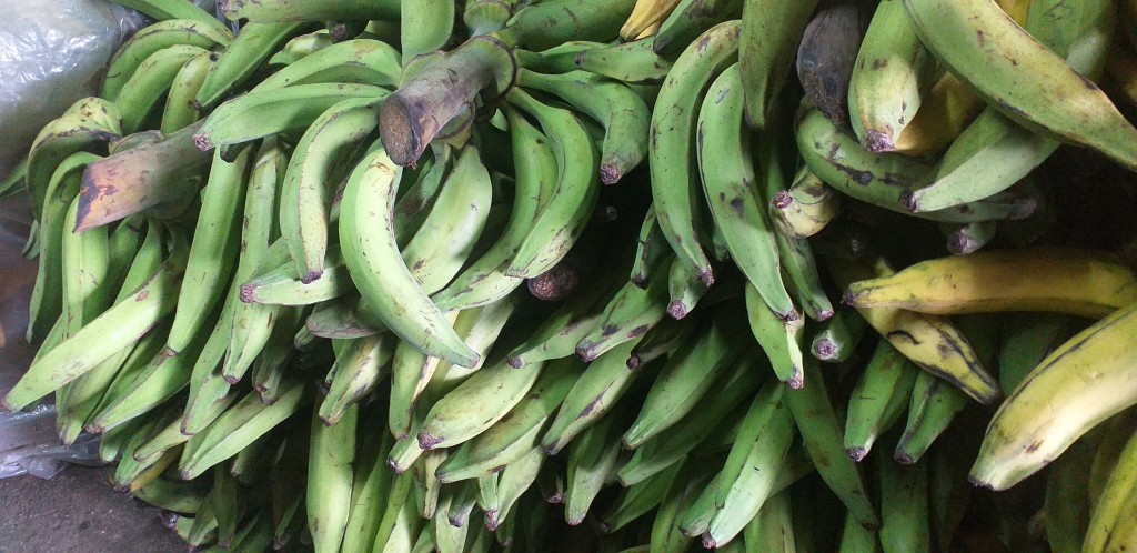 Platano harton