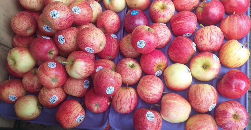 Manzana gala