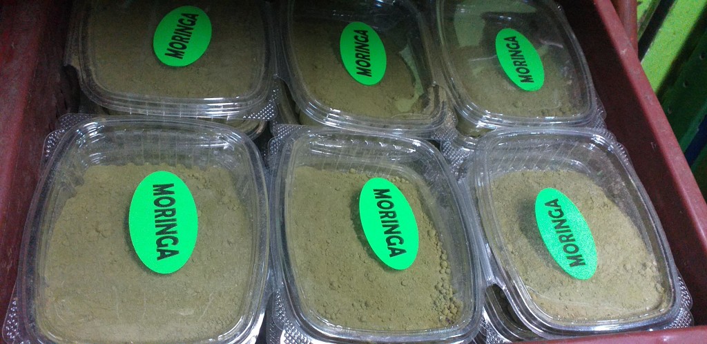 Moringa en polvo