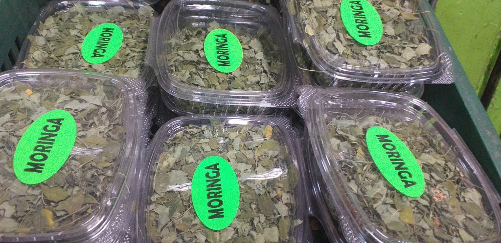 Moringa