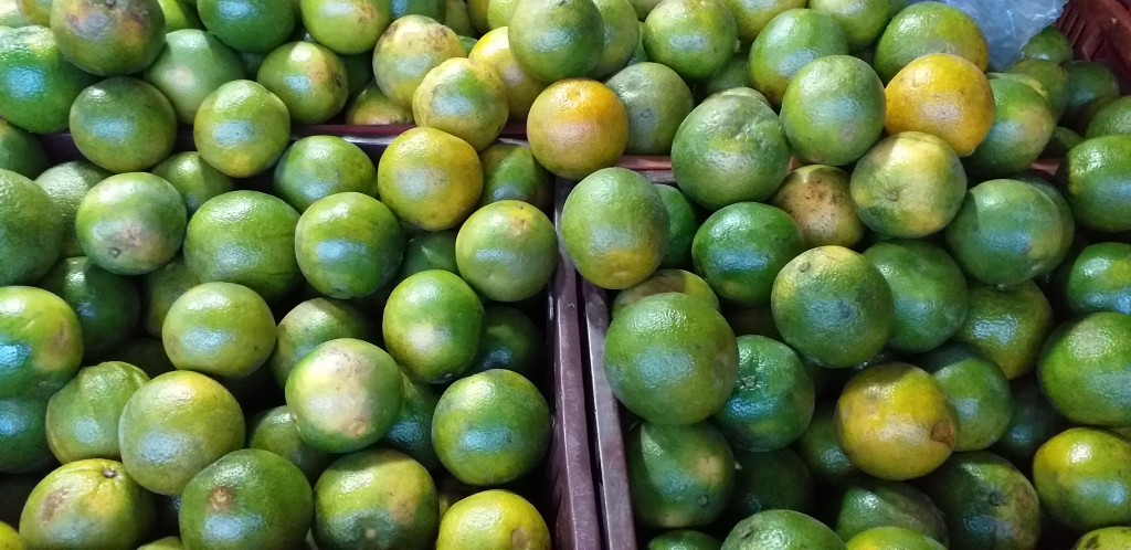 Naranja valencia