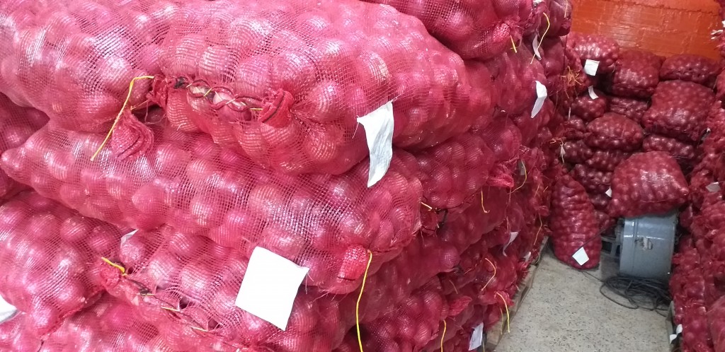 Cebolla peruana