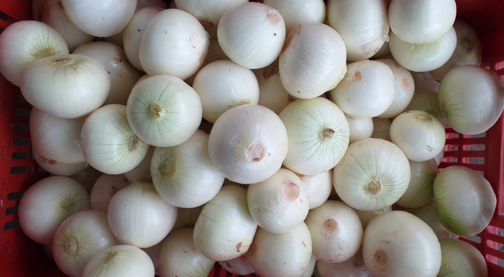 Cebolla blanca pelada