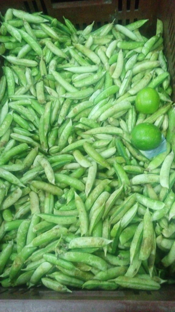 Arveja en cáscara