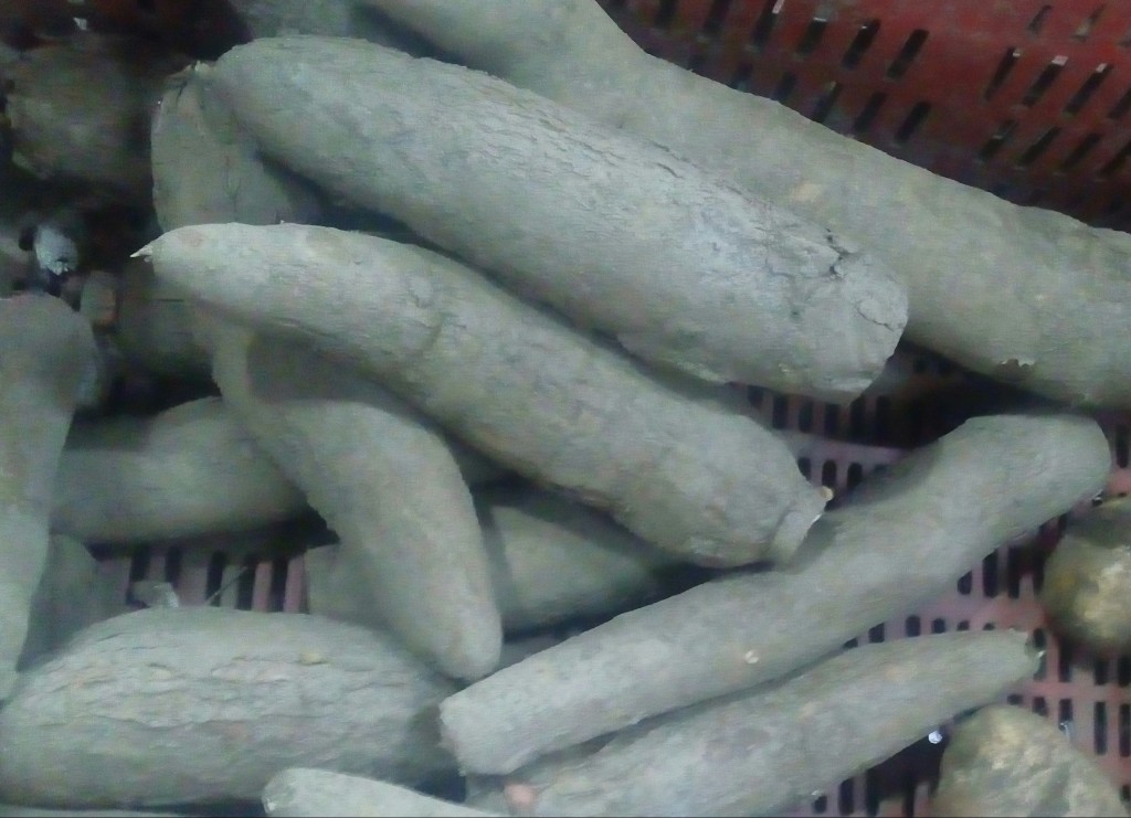 Yuca