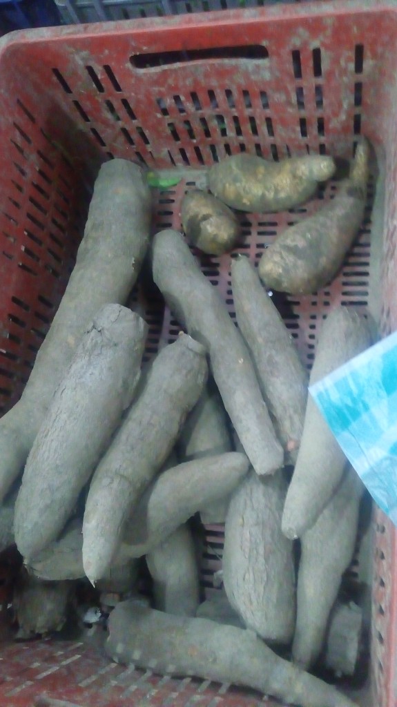 Yuca