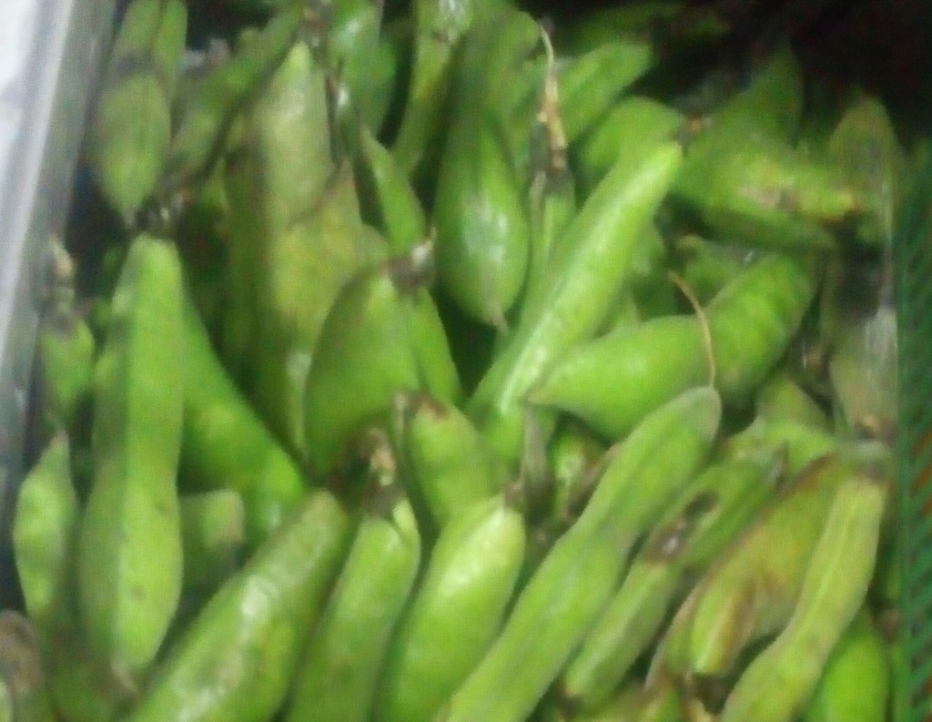 Abas en cáscara