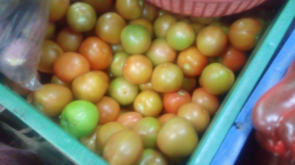 Tomate chonto parejo