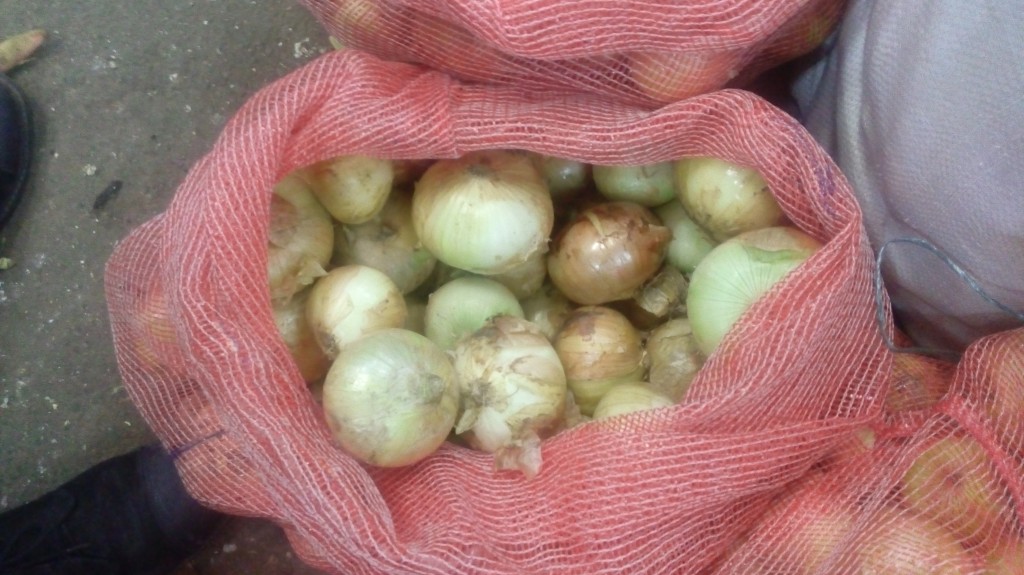 Cebolla cabezona gruesa