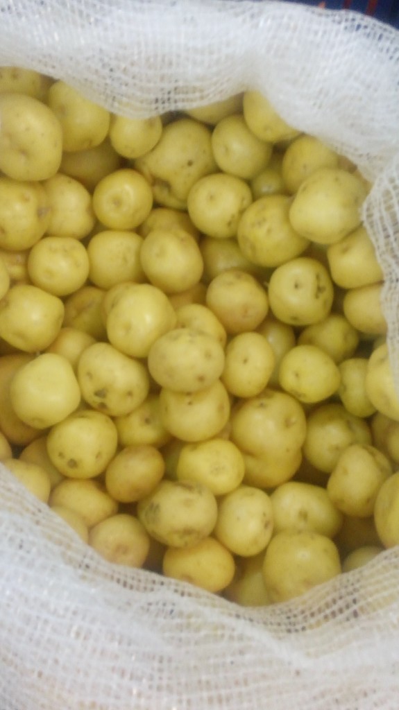 Papa criolla de fina