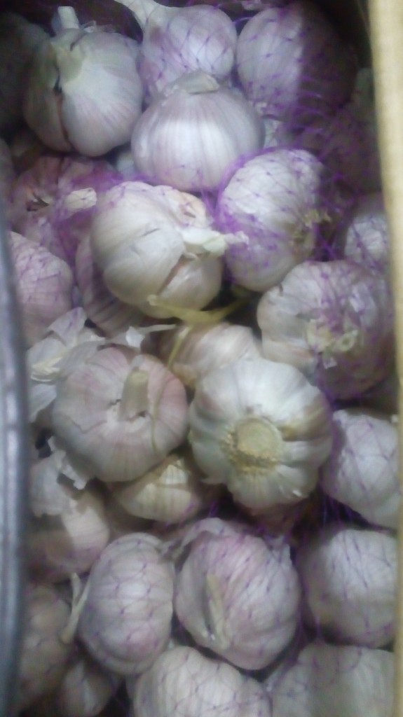 Ajo en rama