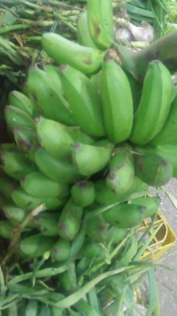 Colicero