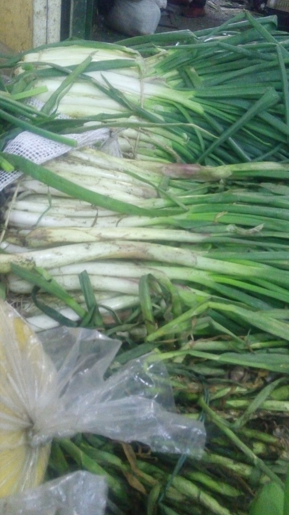 Cebolla larga