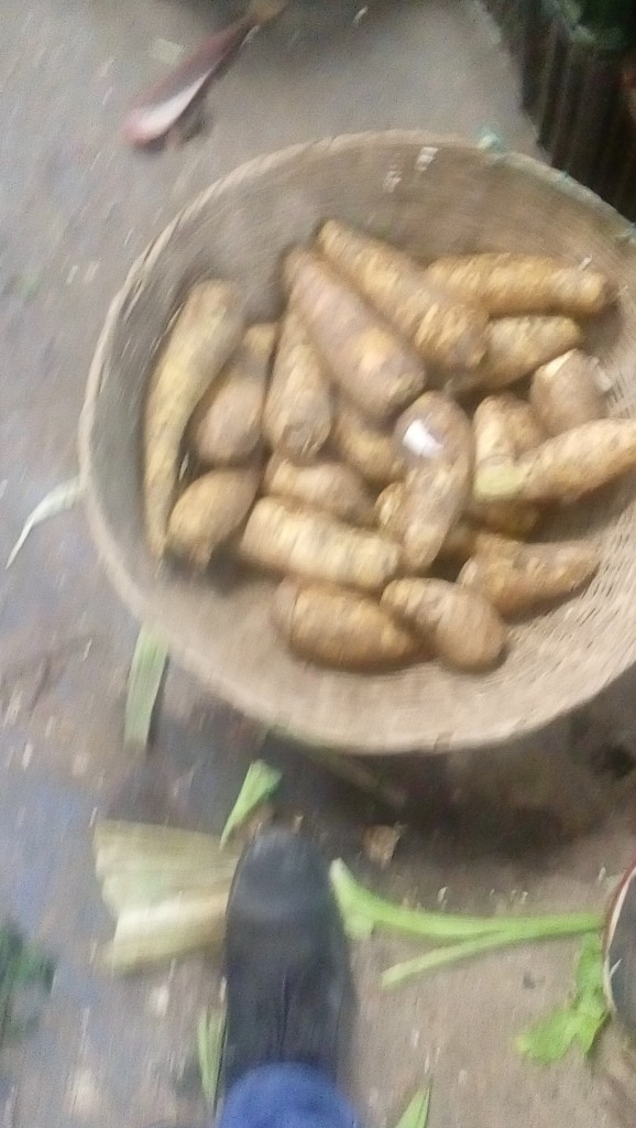 Arracacha