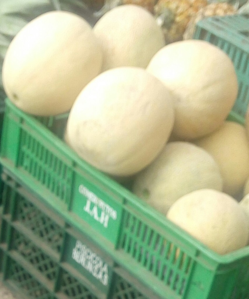 Melón