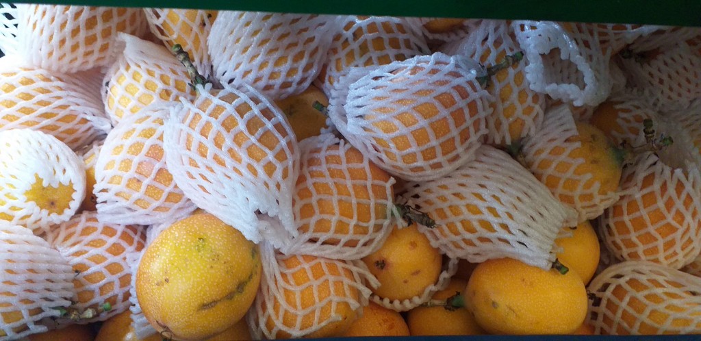 Granadilla extra
