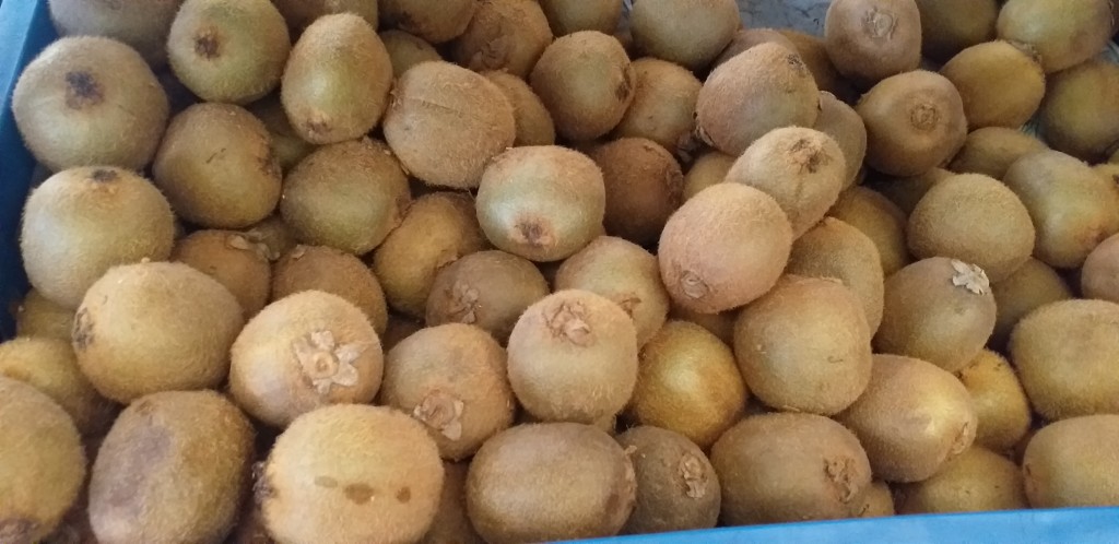 Kiwi