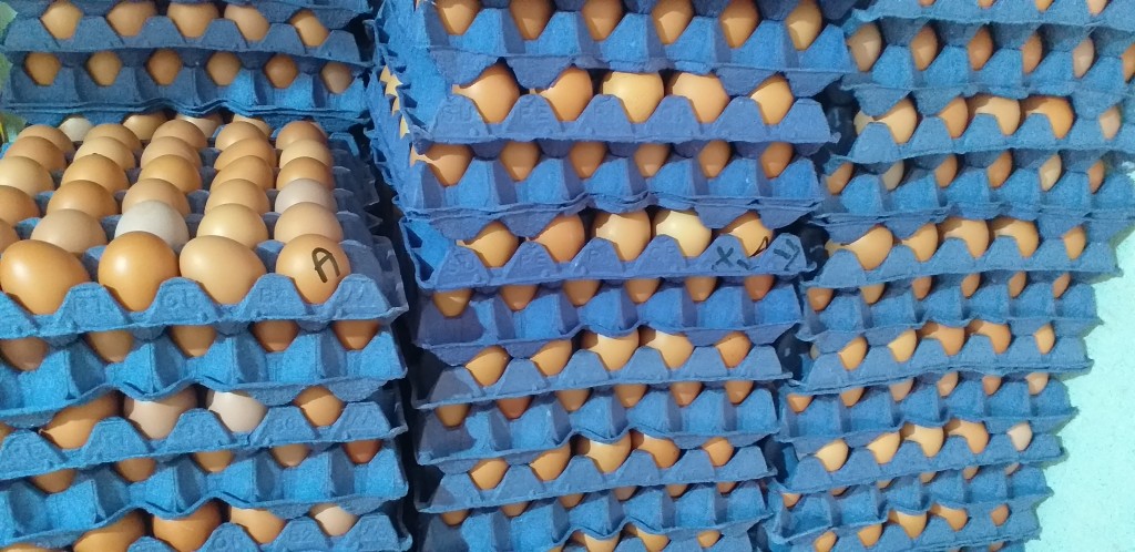 Huevos tipo A