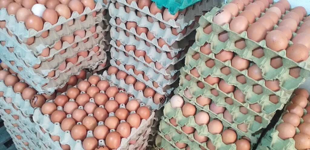 Huevos tipo AA