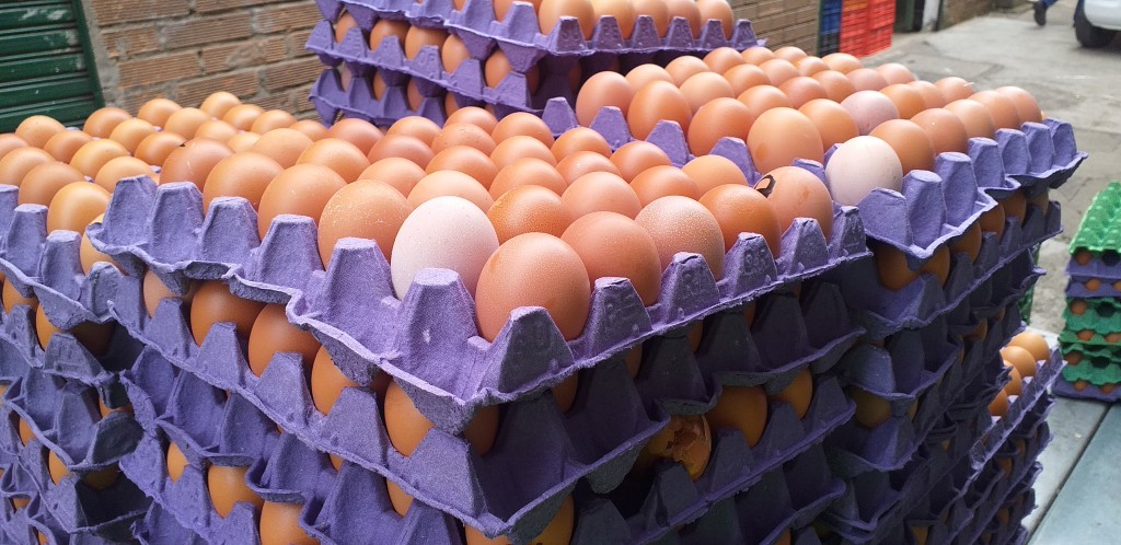 Huevos tipo AAA