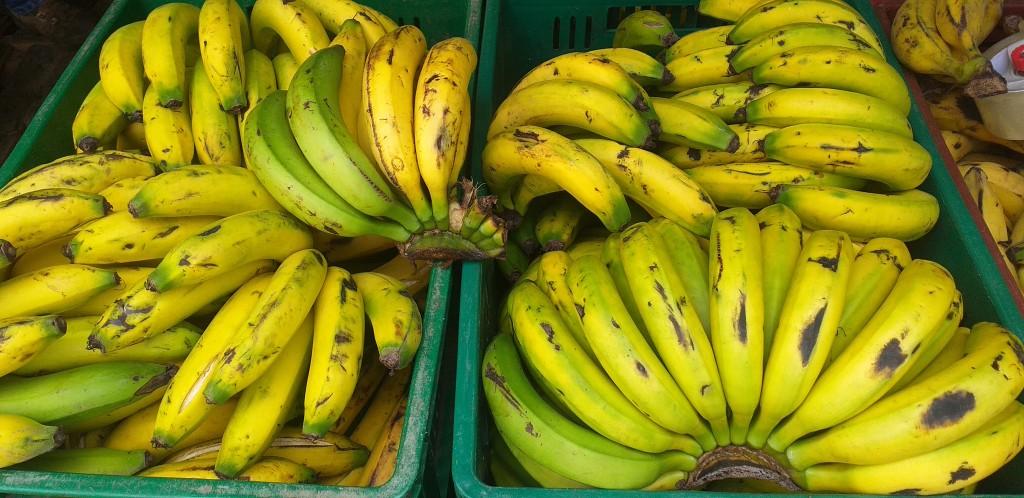 Banano criollo de 1ra