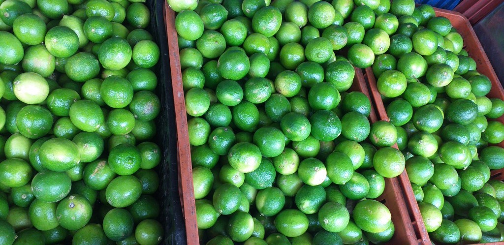 Limon tahiti delgado