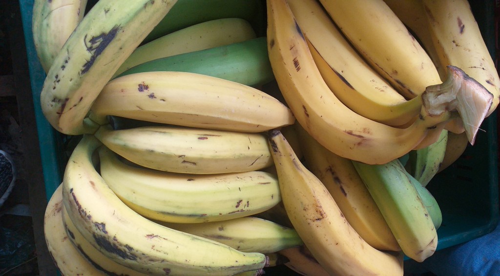 Platano maduro