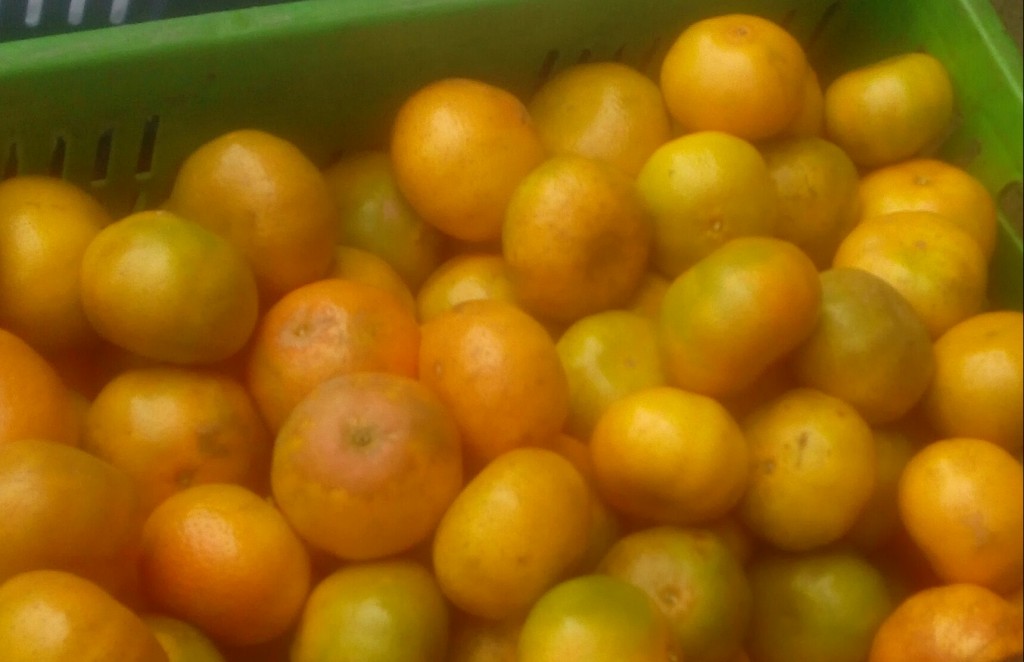 Mandarina