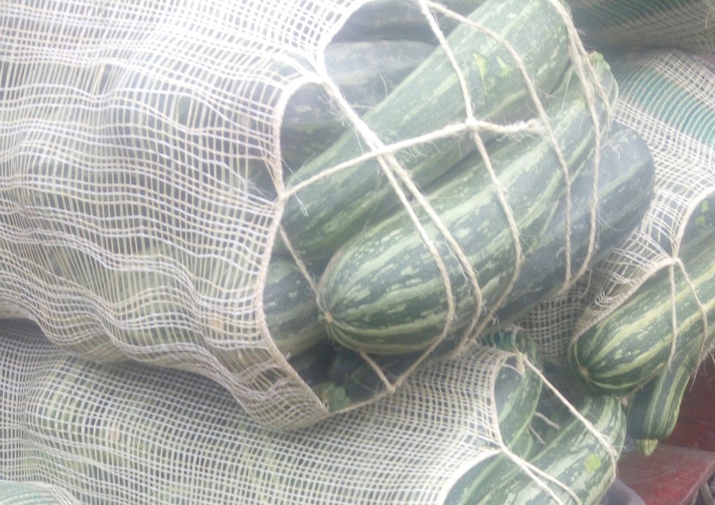 Calabacines