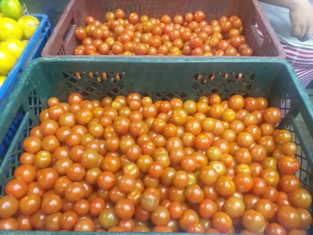 Tomate cherry