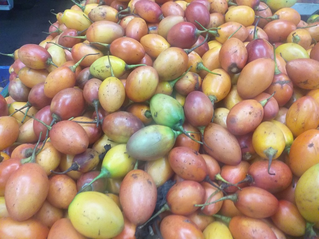 Tomate de arbol