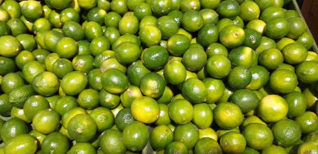 Limon tahiti