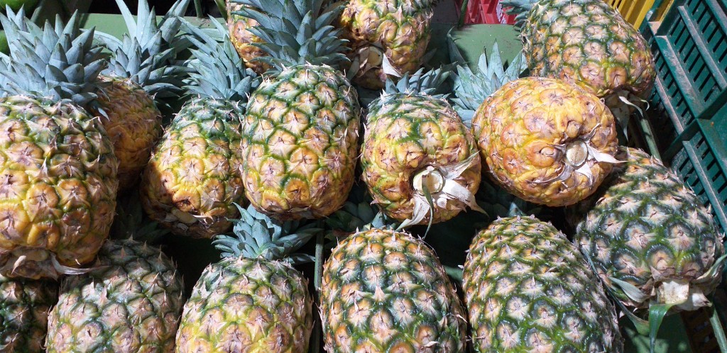 Piña oromiel