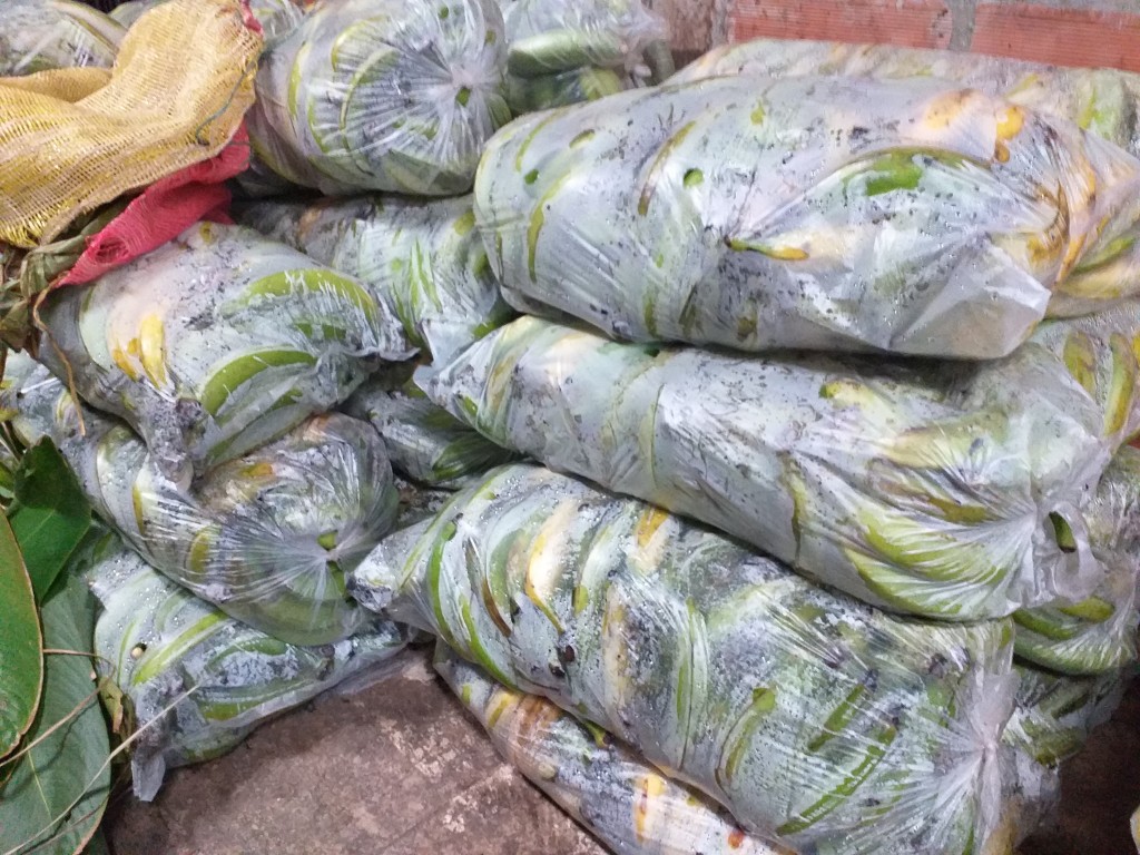 Platano verde