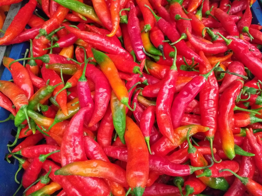 Aji del arbol