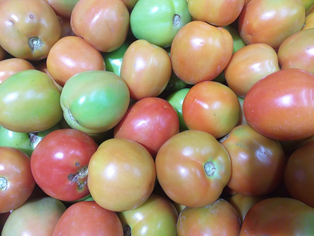 Tomate de primera