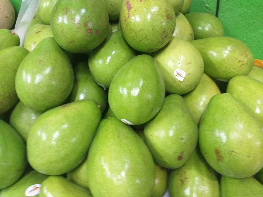 Aguacate papelillo