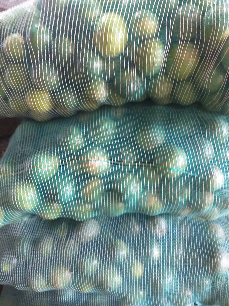 Limon tahiti