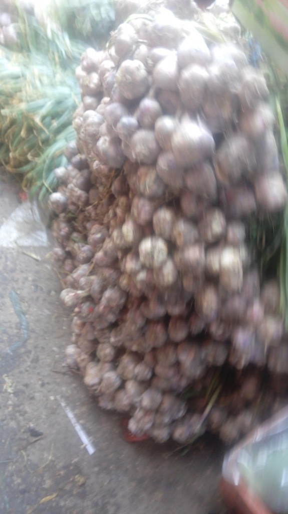 Ajo en rama